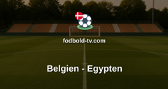 VM i fodbold: Belgien - Egypten