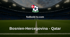 VM i fodbold: Bosnien-Hercegovina - Qatar