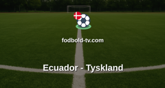VM i fodbold: Ecuador - Tyskland
