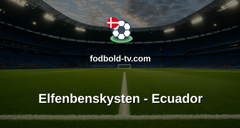 VM i fodbold: Elfenbenskysten - Ecuador