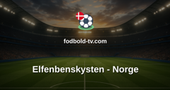 VM i fodbold: Elfenbenskysten - Norge