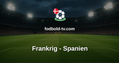 VM i fodbold: Frankrig - Spanien