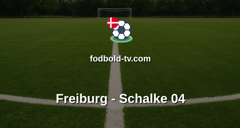 Bundesliga: Freiburg - Schalke 04