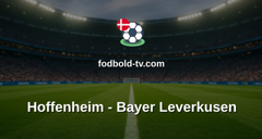 Bundesliga: Hoffenheim - Bayer Leverkusen