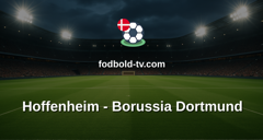 Bundesliga: Hoffenheim - Borussia Dortmund