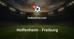 Bundesliga: Hoffenheim - Freiburg