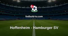 Bundesliga: Hoffenheim - Hamburger SV