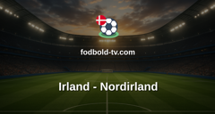 Træningskamp: Irland - Nordirland