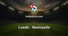 Premier League: Leeds - Newcastle