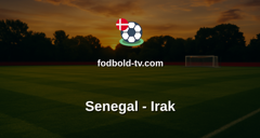 VM i fodbold: Senegal - Irak