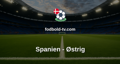 VM i fodbold: Spanien - Østrig