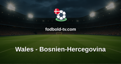 VM-kvalifikation: Wales - Bosnien-Hercegovina