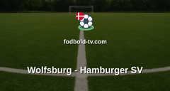Bundesliga: Wolfsburg - Hamburger SV