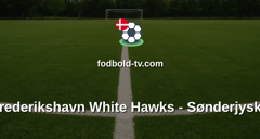 Metal Ligaen: Frederikshavn White Hawks - SønderjyskE