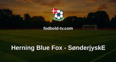 Metal Ligaen: Herning Blue Fox - SønderjyskE