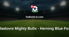 Metal Ligaen: Rødovre Mighty Bulls - Herning Blue Fox