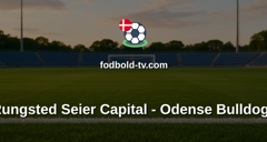 Metal Ligaen: Rungsted Seier Capital - Odense Bulldogs